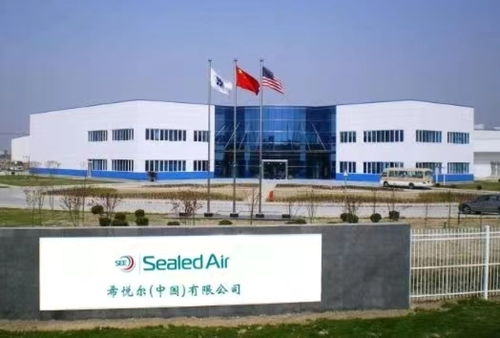 早鳥心動不如行動 跨國公司高管飛抵上海,共啟電子商務新篇章